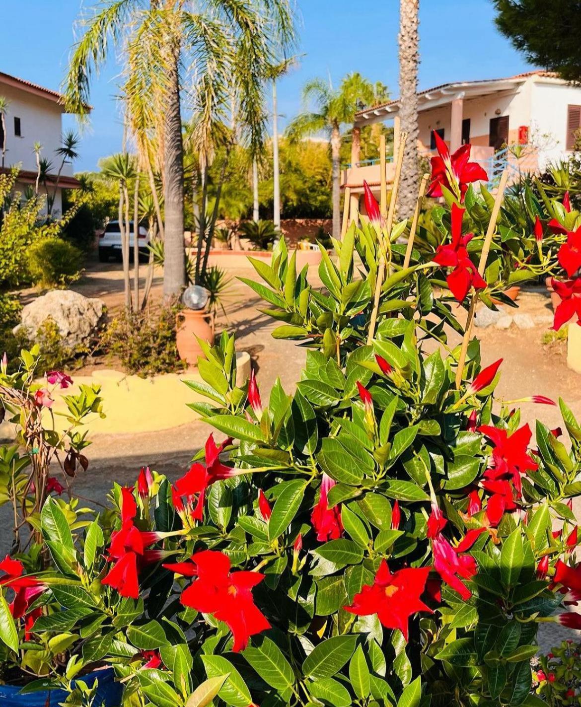 Hotel Grotticelle Capo Vaticano Luaran gambar